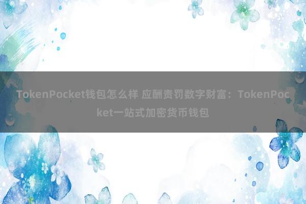 TokenPocket钱包怎么样 应酬责罚数字财富：TokenPocket一站式加密货币钱包