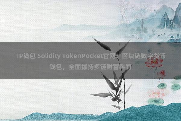 TP钱包 Solidity TokenPocket官网：区块链数字货币钱包，全面撑持多链财富科罚