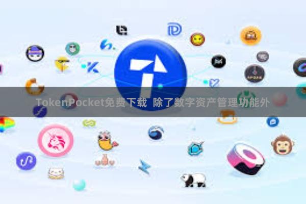 TokenPocket免费下载  除了数字资产管理功能外