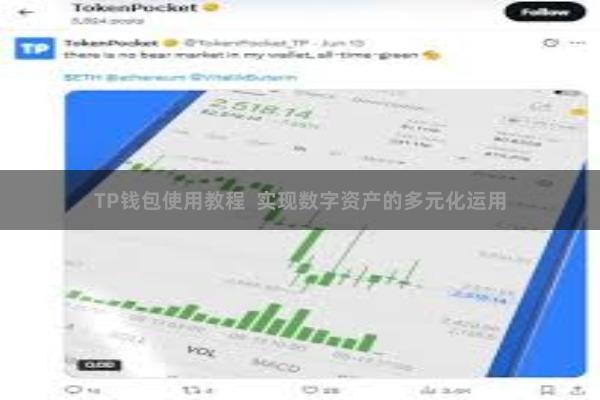 TP钱包使用教程  实现数字资产的多元化运用
